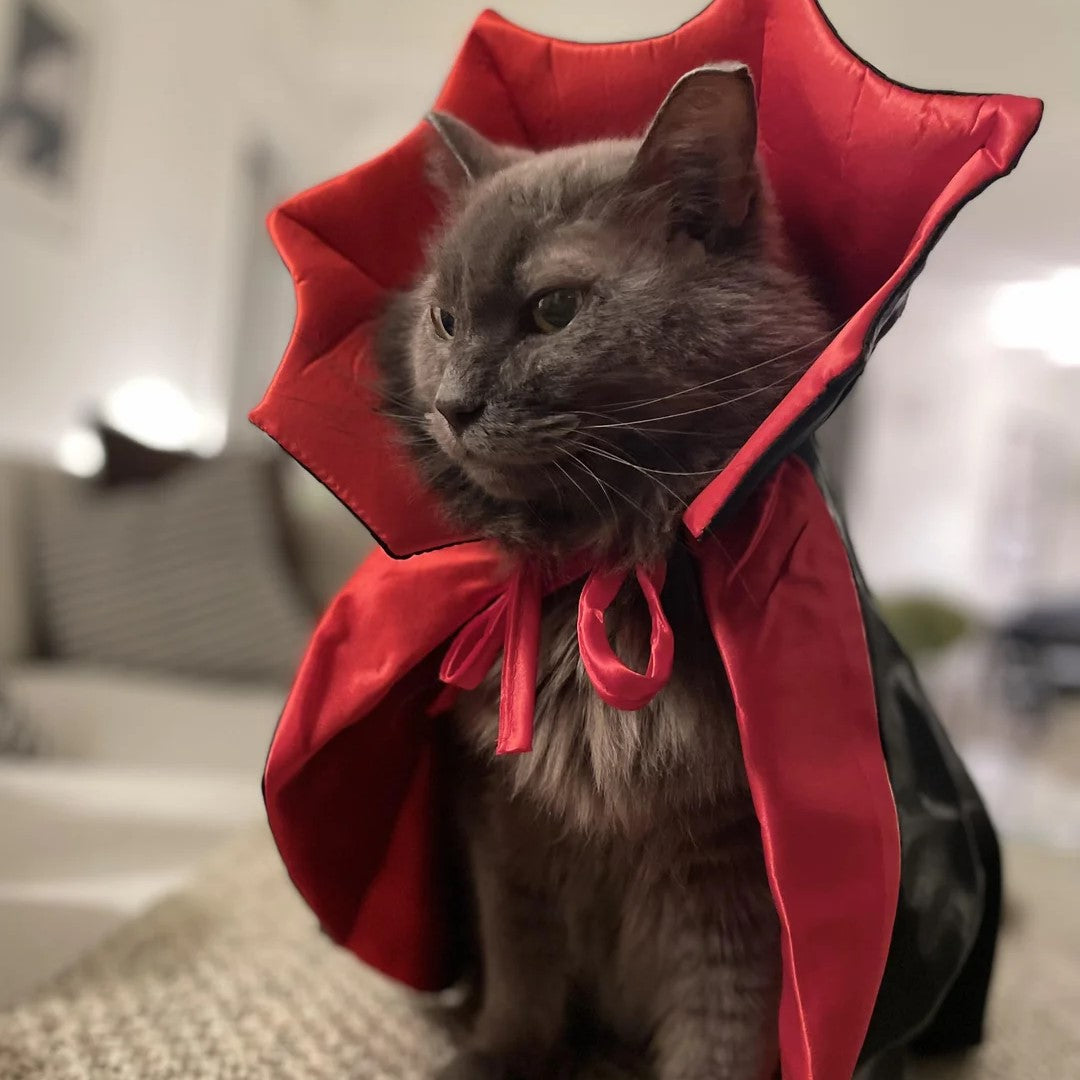 Capinha de Vampiro