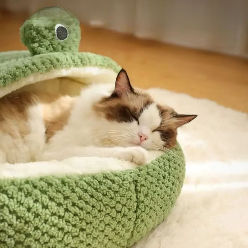 Cama Sapo