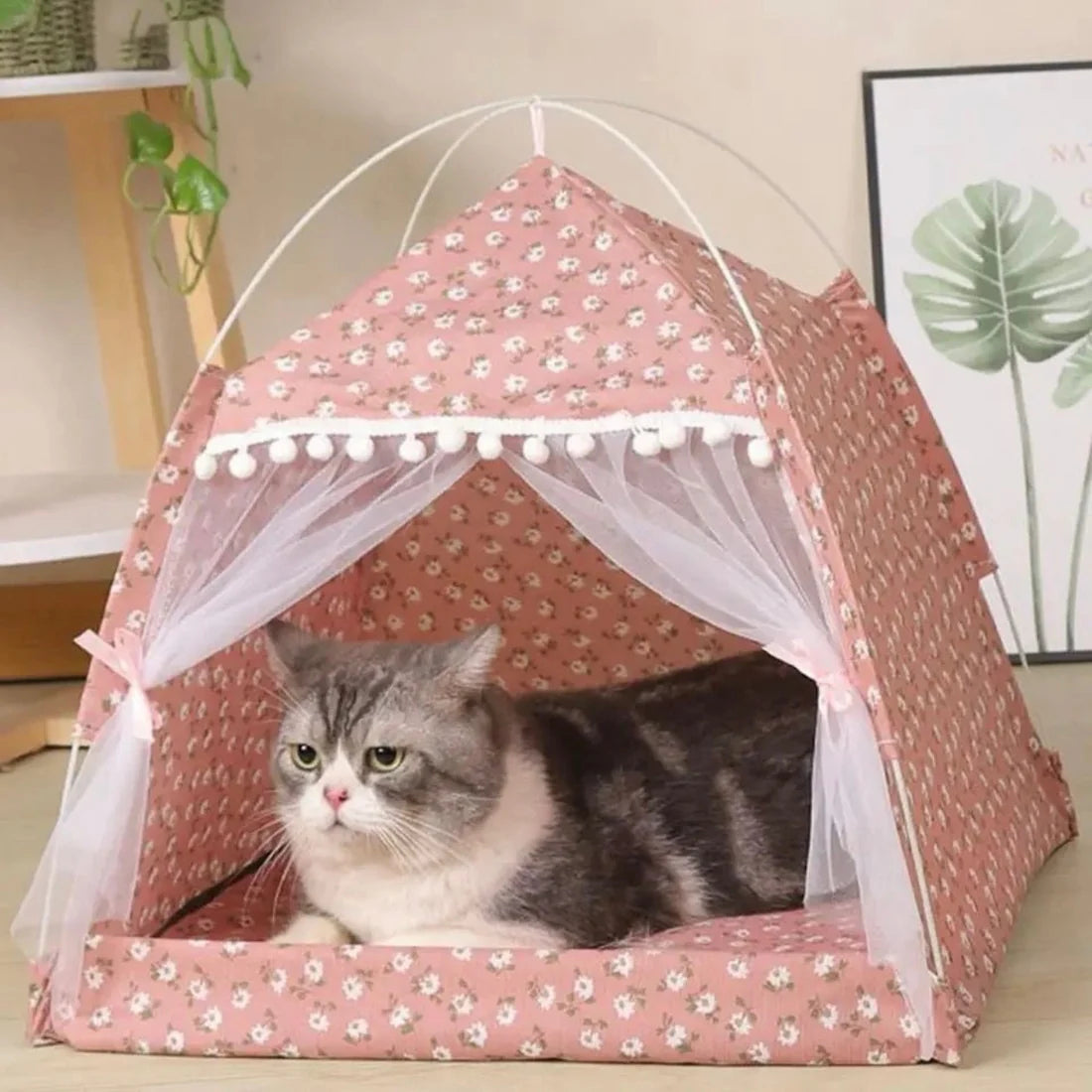 Tenda - Premium