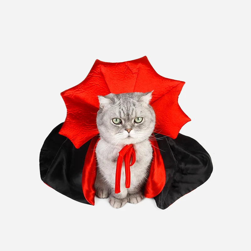 Capinha de Vampiro