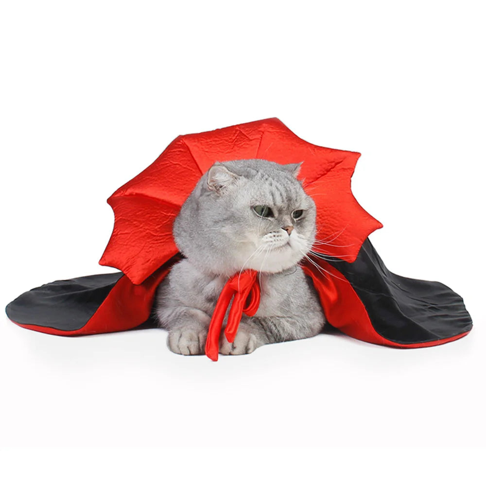 Capinha de Vampiro