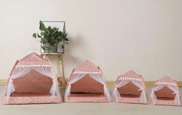 Caminha Tenda - Premium