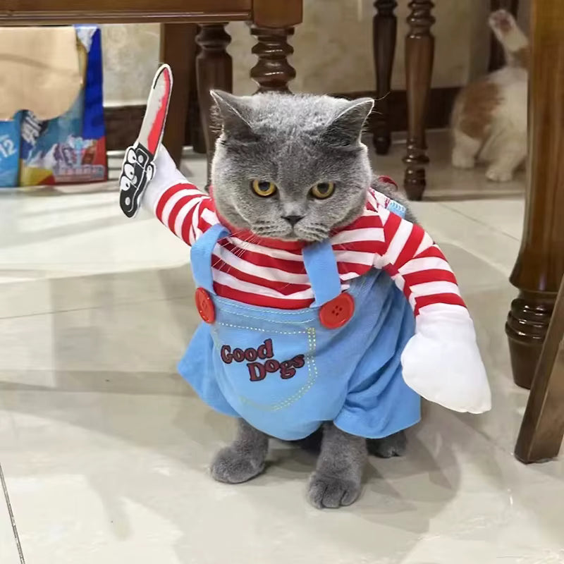 Chucky Fofo