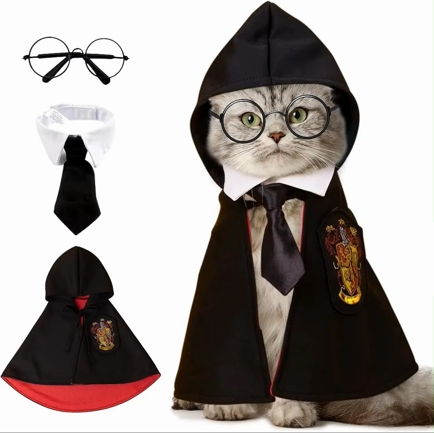 Harry Cat