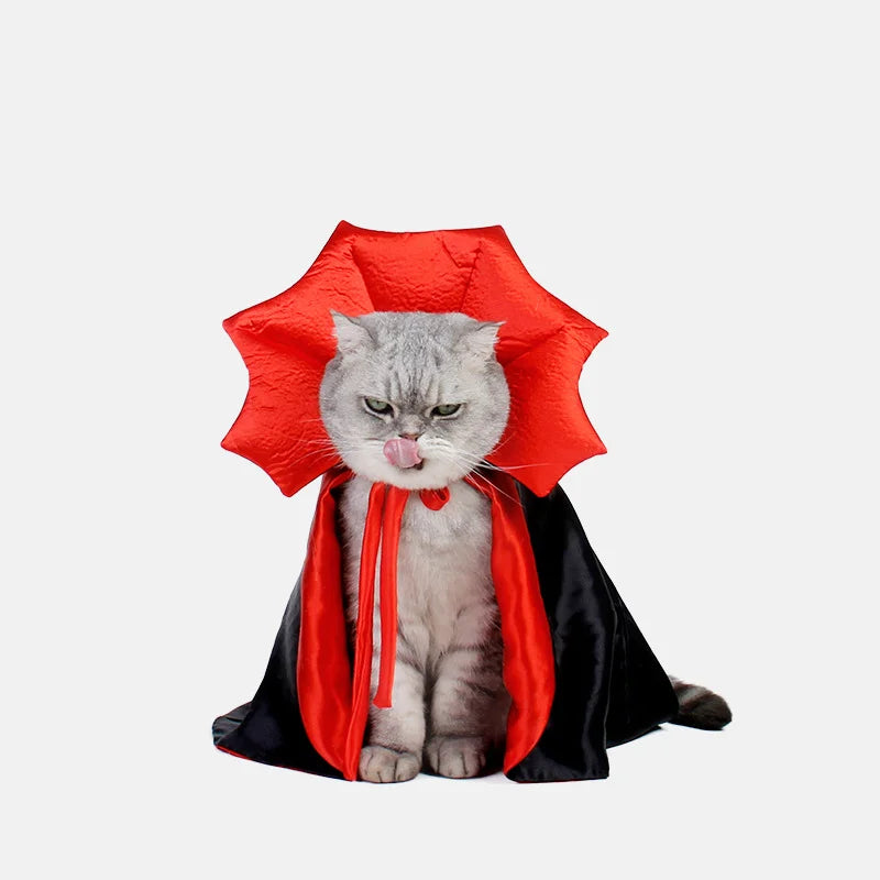 Capinha de Vampiro