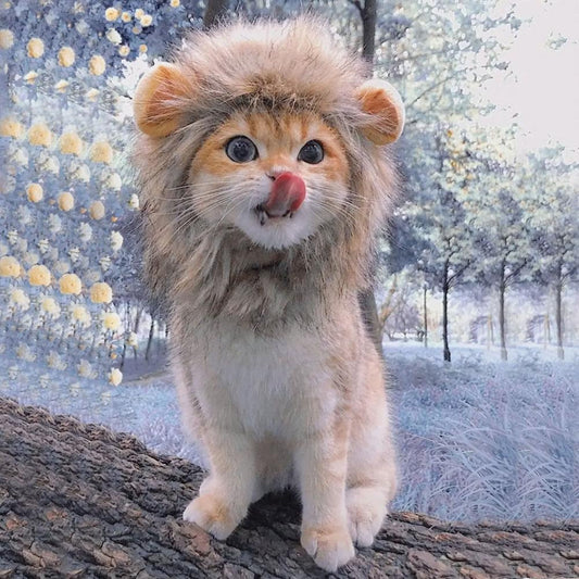 Mini Rei da Selva