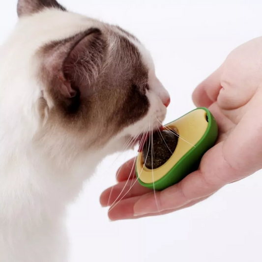 Brinquedo Abacate com Catnip