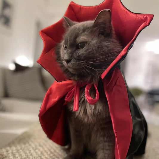 Capinha de Vampiro
