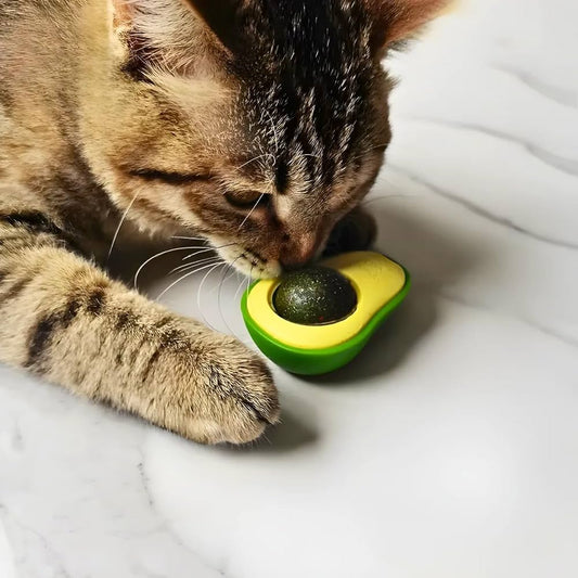 Brinquedo Abacate com Catnip