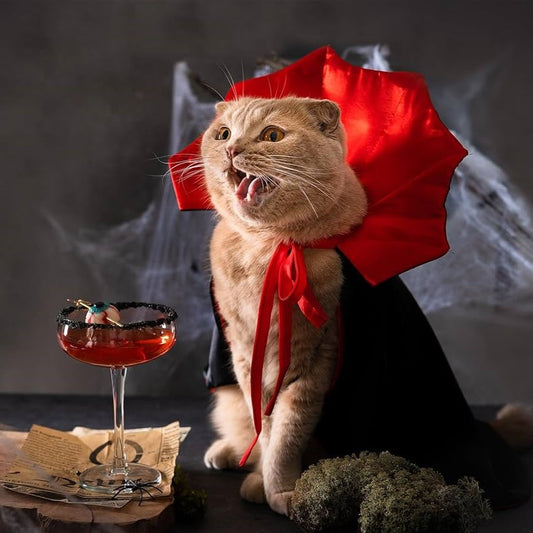 Capinha de Vampiro