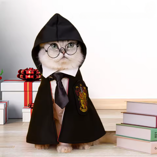 Harry Cat