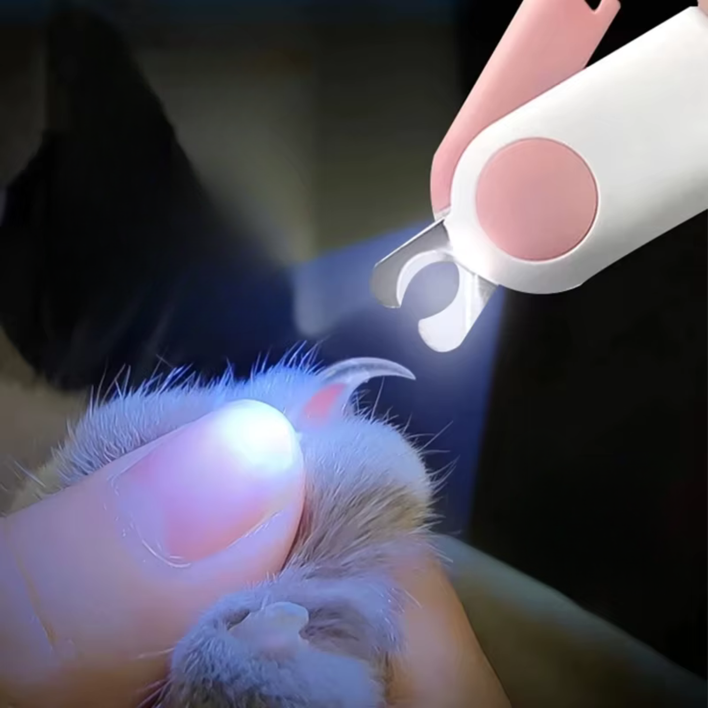 Cortador de Unhas Profissional para Gatos com LED