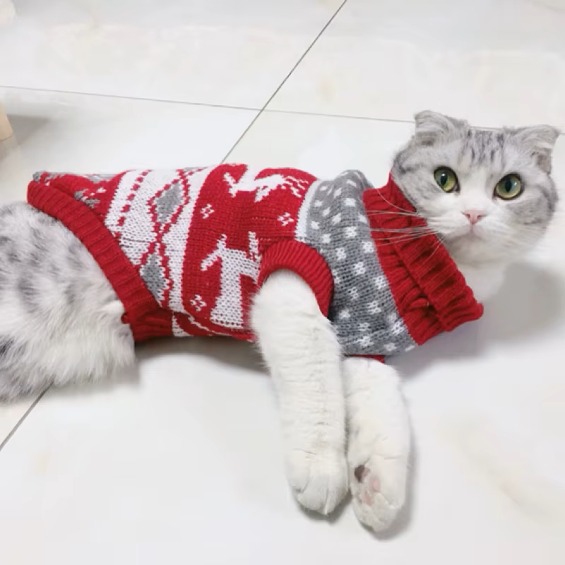 Suéter de Natal para Gato