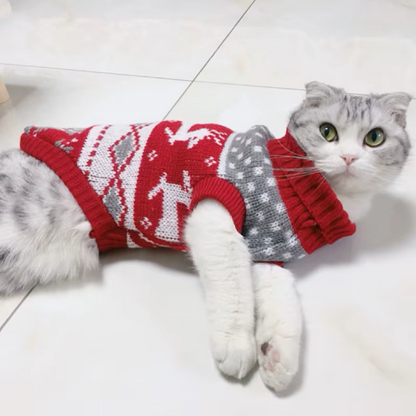 Suéter de Natal para Gato