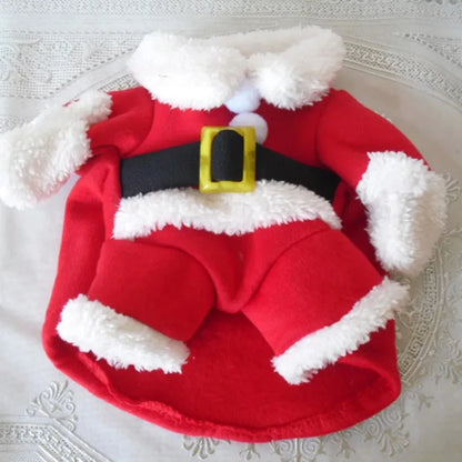 Cat Noel