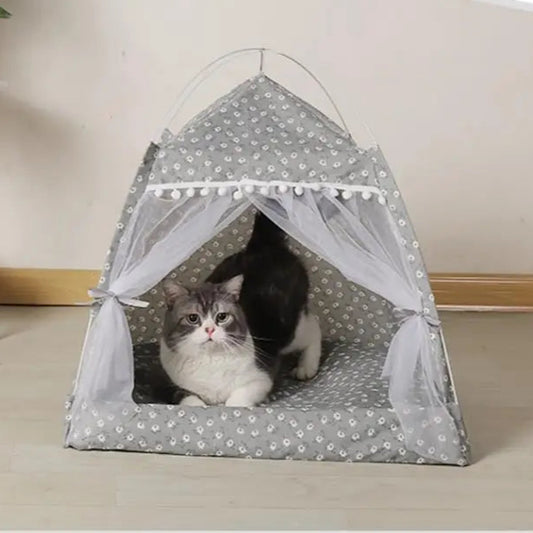 Tenda - Premium
