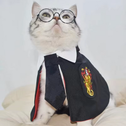 Harry Cat