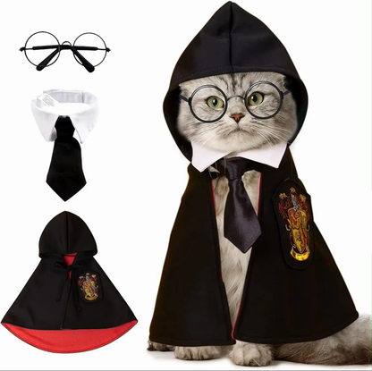 Harry Cat