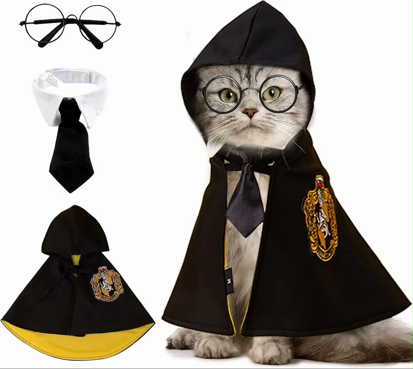 Harry Cat