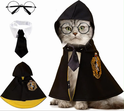 Harry Cat