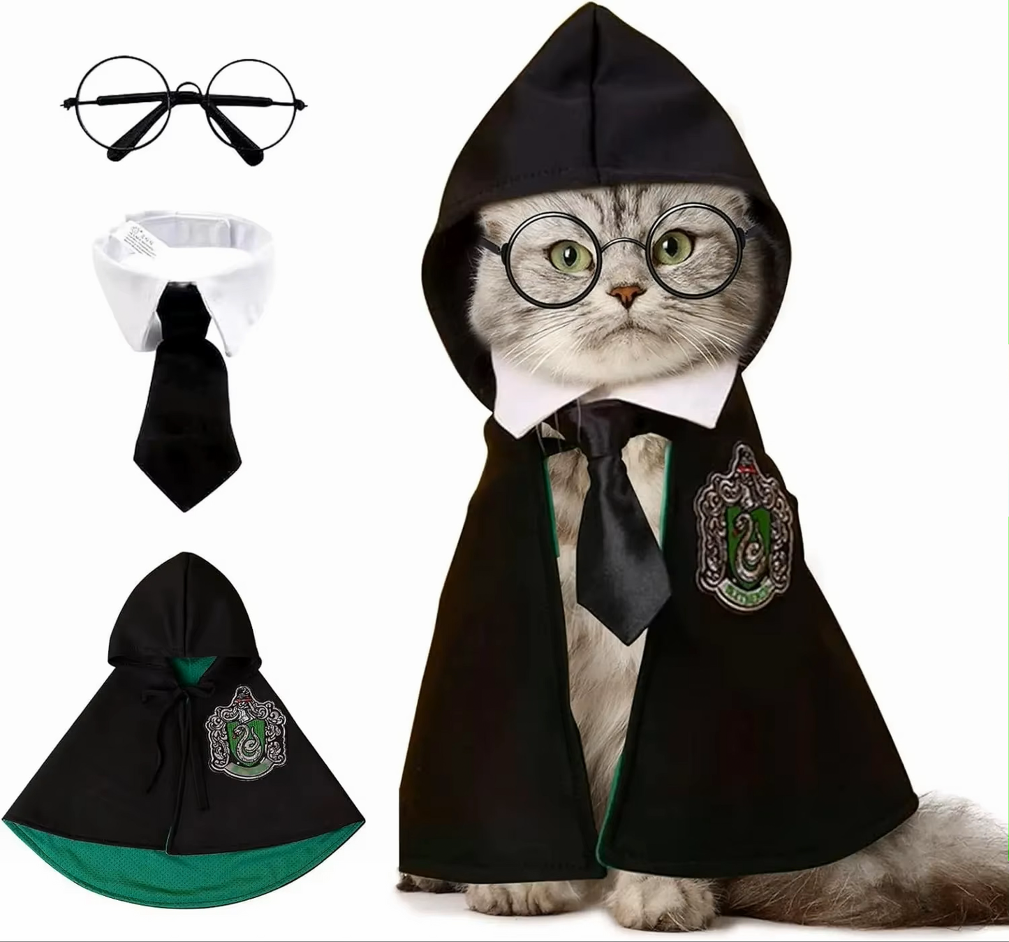 Harry Cat