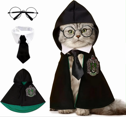 Harry Cat