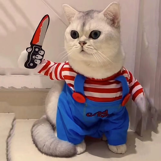 Chucky Fofo
