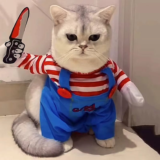 Chucky Fofo