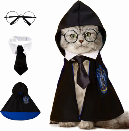 Harry Cat