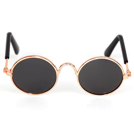Óculos para Gato Sol & Charme