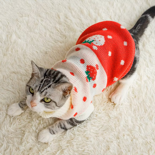 Suéter de Natal para Gato
